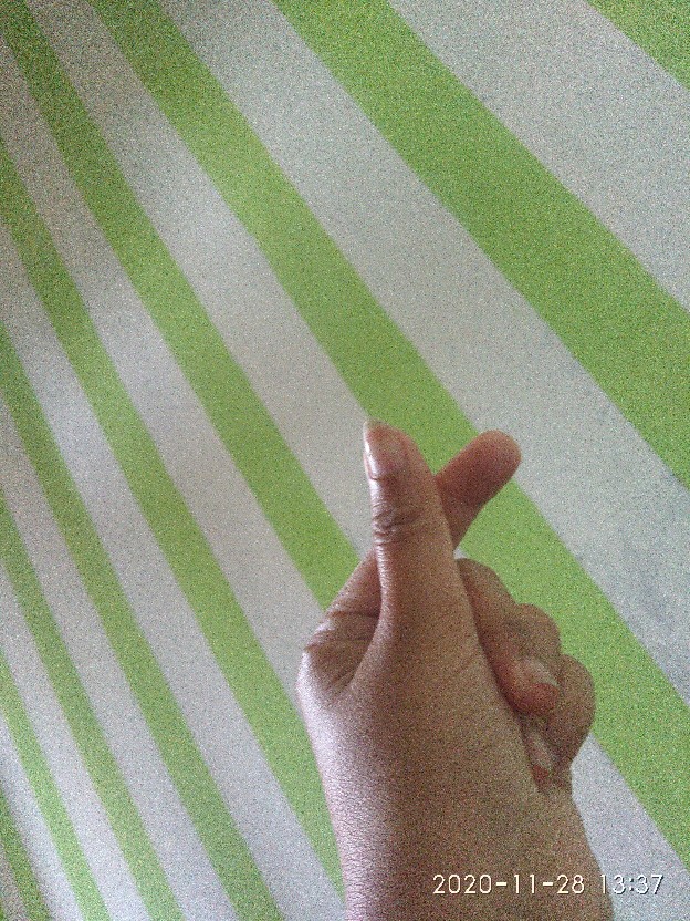 Mika Dx-1 / Mika Tempat Makan Dan Kue Uk 23cm Isi 50 Pcs