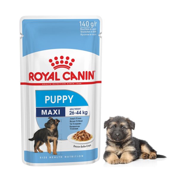 Royal Canin Maxi Puppy Pouch 140gr 140 gr Makanan Anjing Sachet Basah