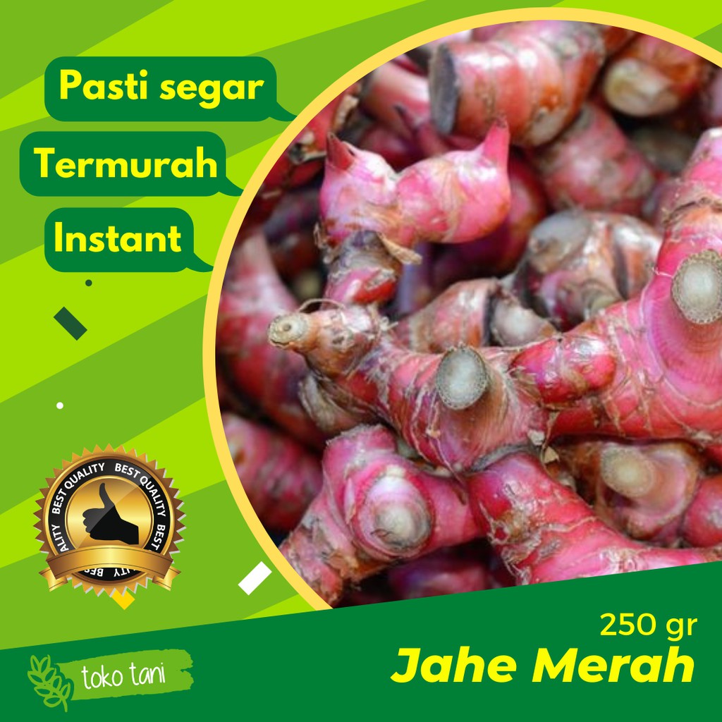 

Jahe Merah 250gr