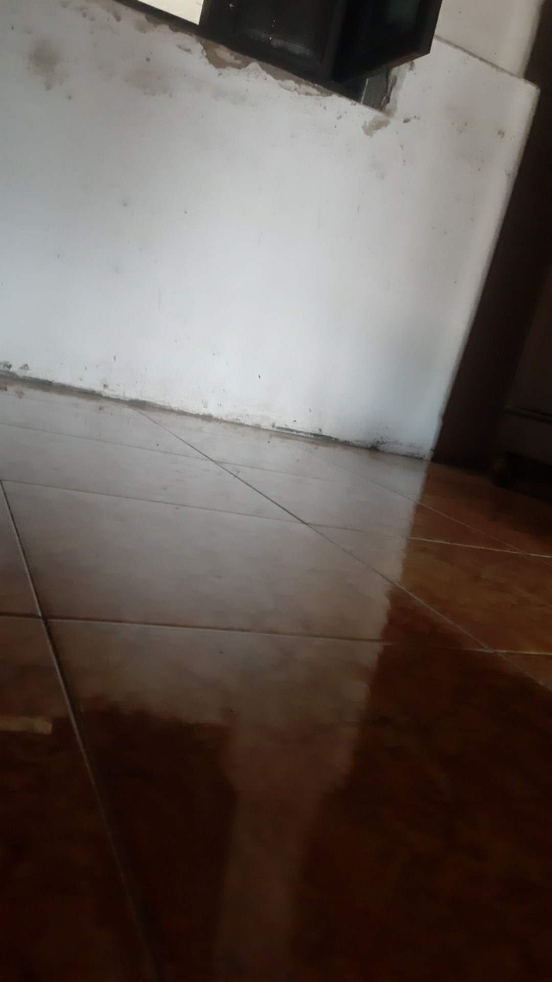 Jaring Ayam Lebar 1,2 Meter Jaring Pagar Ayam - Jaring Kandang Burung Jaring Pagar Tanaman