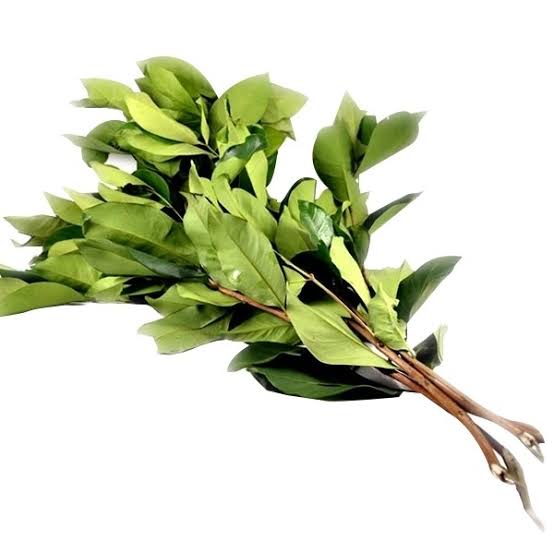 

Daun salam 50gr