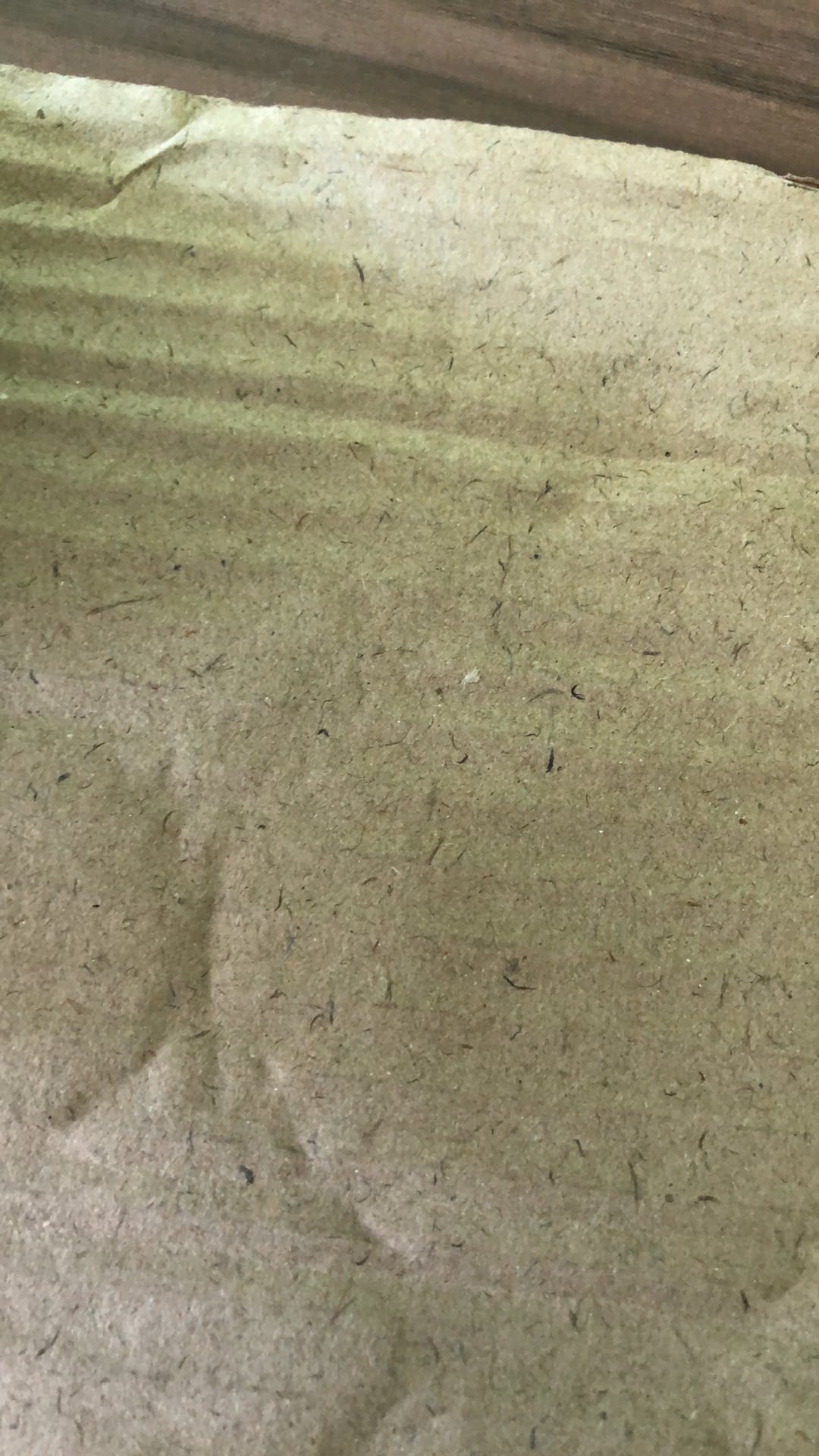 Batik Couple Motif Terbaru Pekalongan Original Zipper M L Xl Xxl Xxxl Bc 008