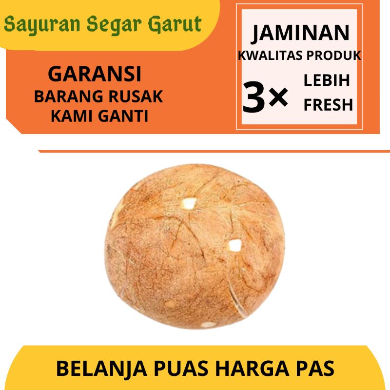 

Kelapa Batok Utuh Super Segar Fresh Murah per Satuan by Sayuran Segar Garut