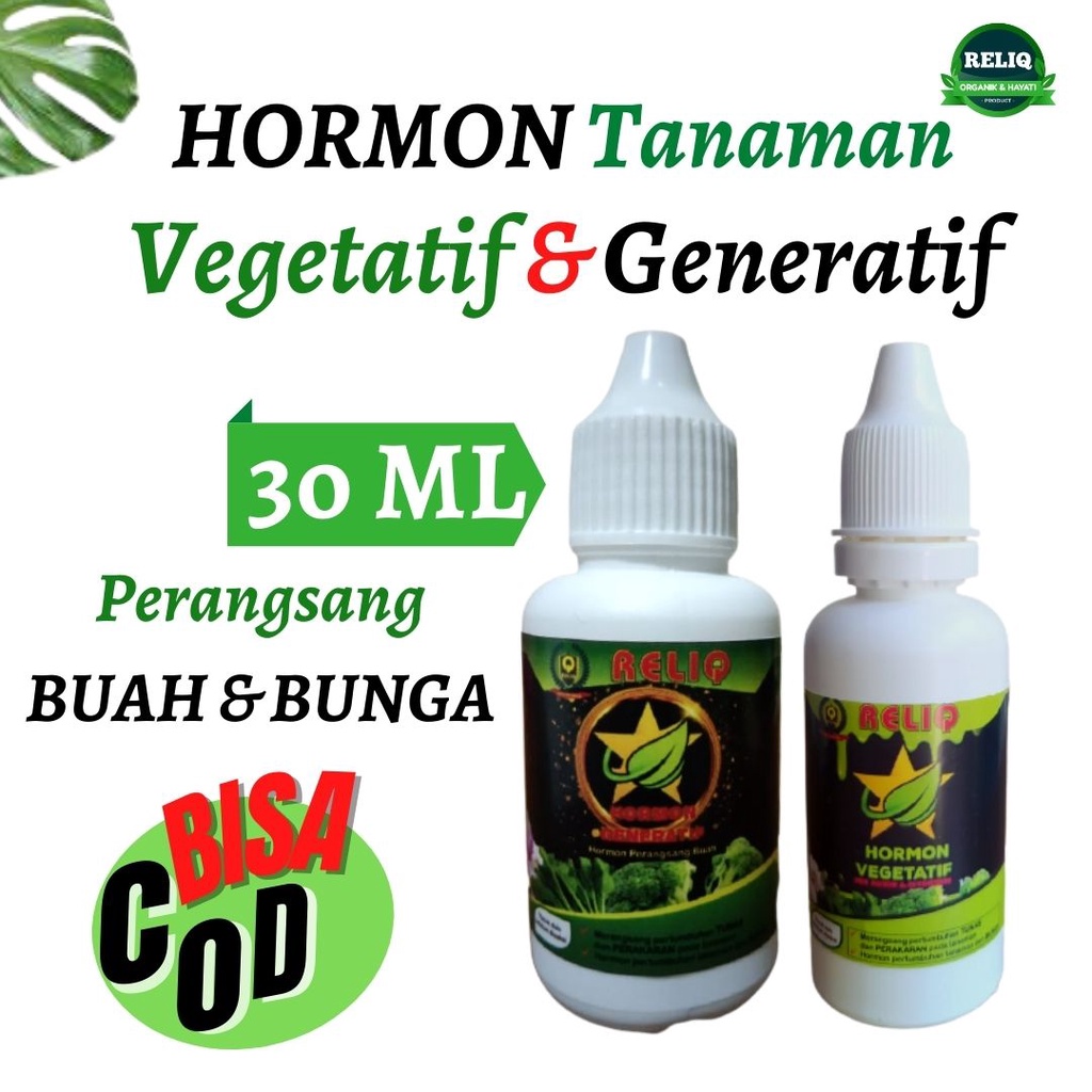 Hormon Vegetatif & Generatif Anggur, Nutrisi Perangsang Akar Tanaman Hias Penumbuh Akar, Buah dan Bu