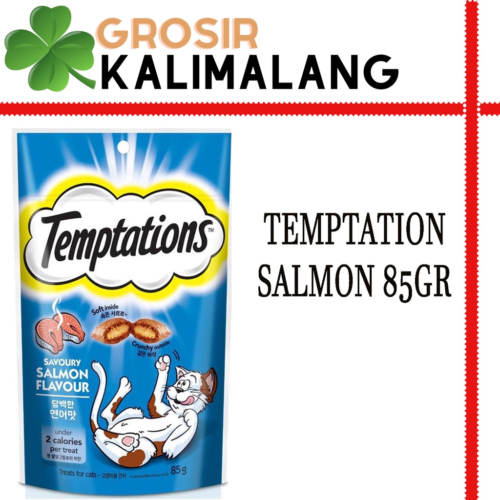 Temptation Salmon 85gr