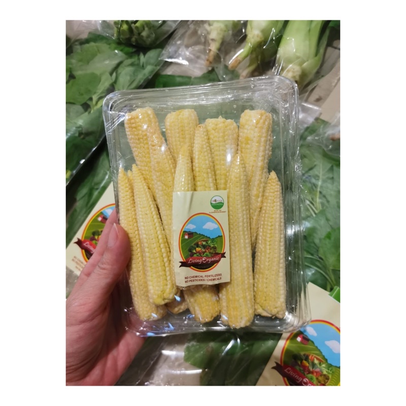 

Jagung baby || 200 gr || Sayuran organik