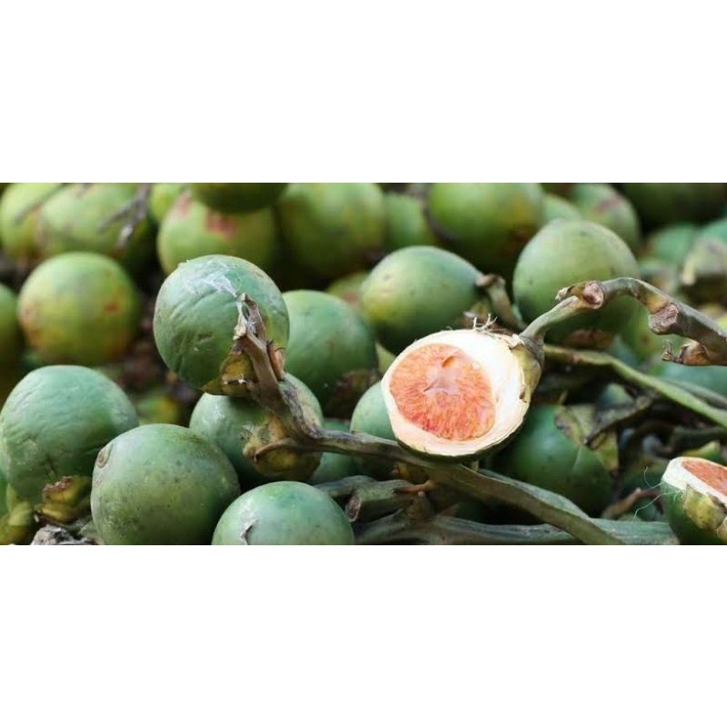 

BUAH PINANG 500 gr