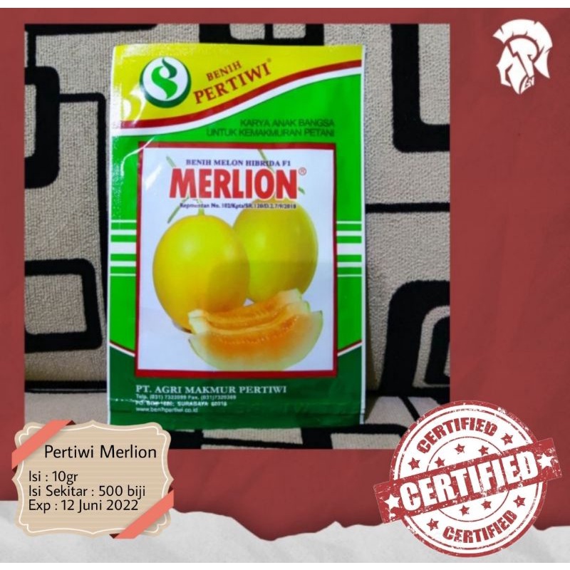 Benih Bibit Melon Merlion Pertiwi 10gr isi 500 biji (MERLION)