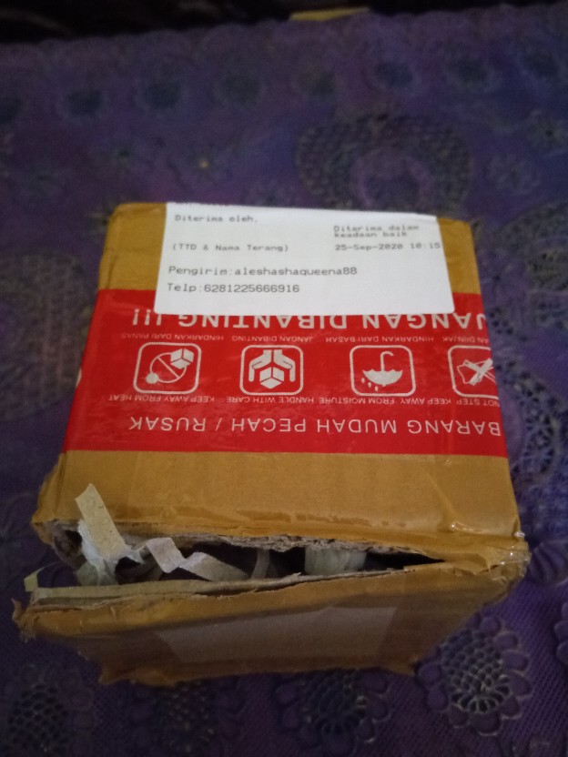 Benih Sawi Putih Panjang (spp)