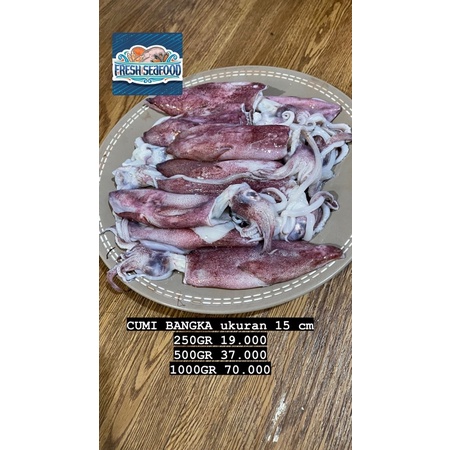 

CUMI BANGKA uk 15 cm