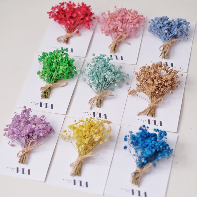 Eternal Bloom Card / Babybreath / Dried Flower Card