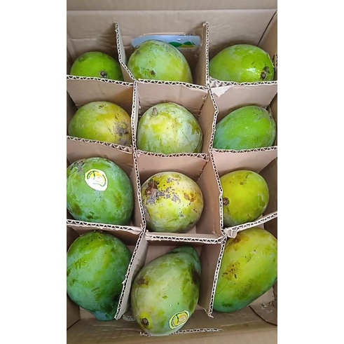 

Mangga Alpukat perdus 5 kg