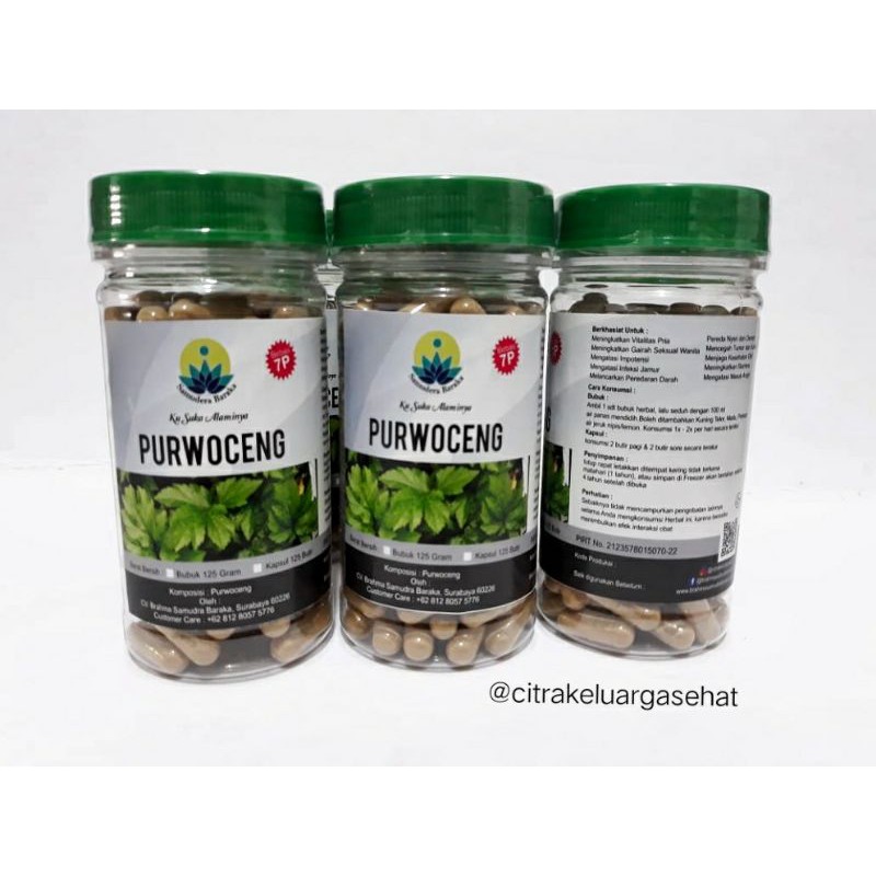 Purwoceng Jamu kuat pria perkasa herbal daya tahan tubuh stamina vitalitas laki-laki obat impoten