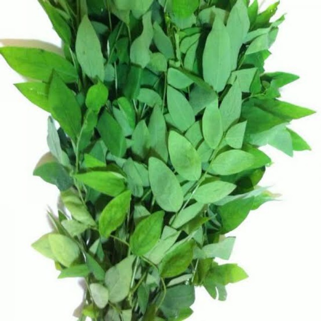 

FreshPAK - Daun Katuk per Ikat / Sayur Segar / Sayuran Segar