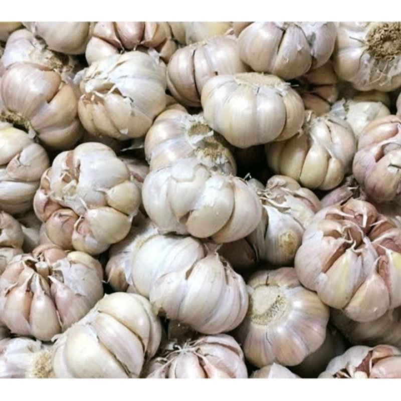 

Bawang Putih Bulat Bersih ½ Kg