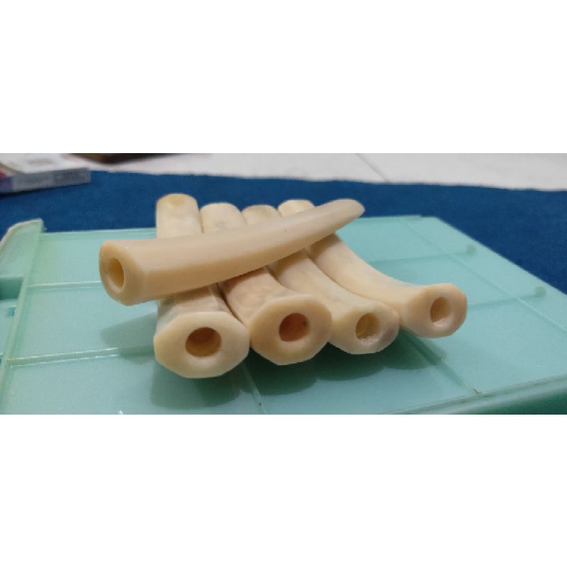 once iga duyung model segi 8