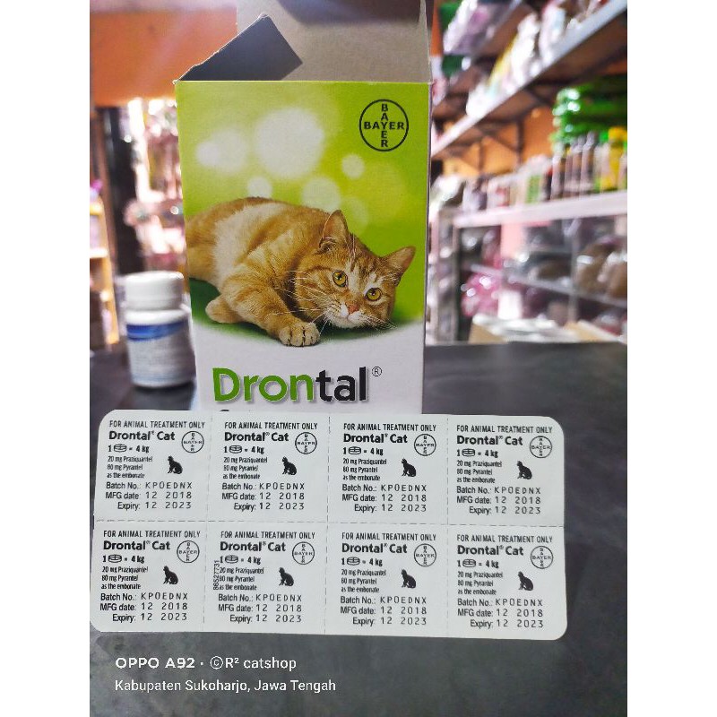 Drontal cat
