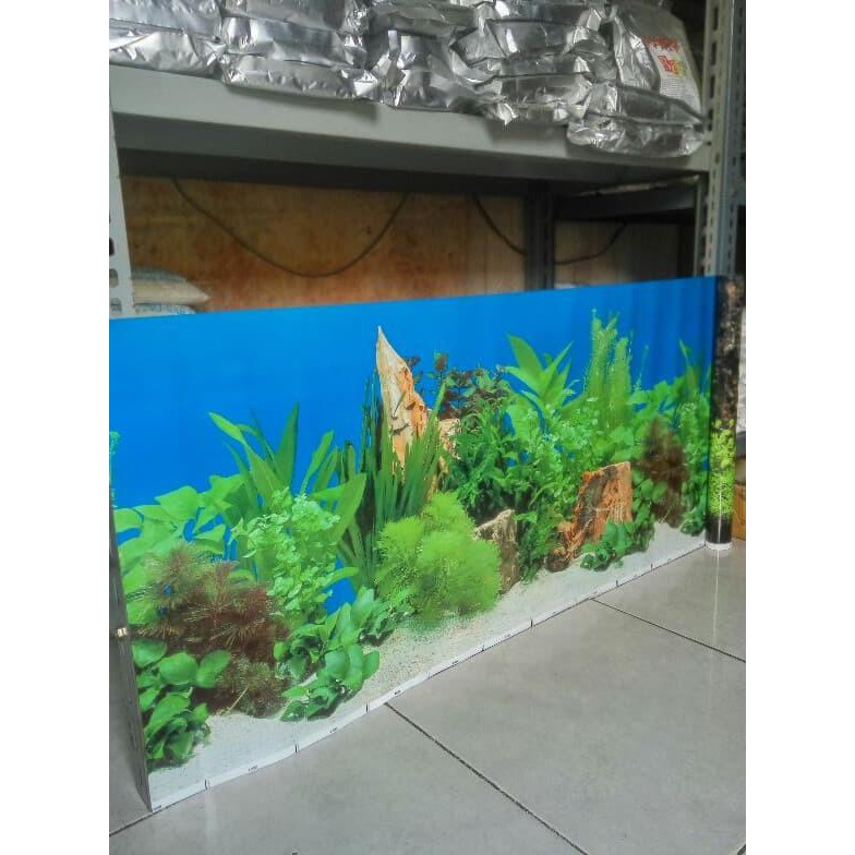 Walpaper Background Gambar Latar Belakang Aquarium Tinggi 60 Cm