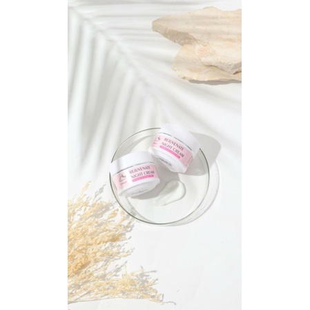 REJUVENATE NIGHT CREAM (BPOM) (BEST SELLER)