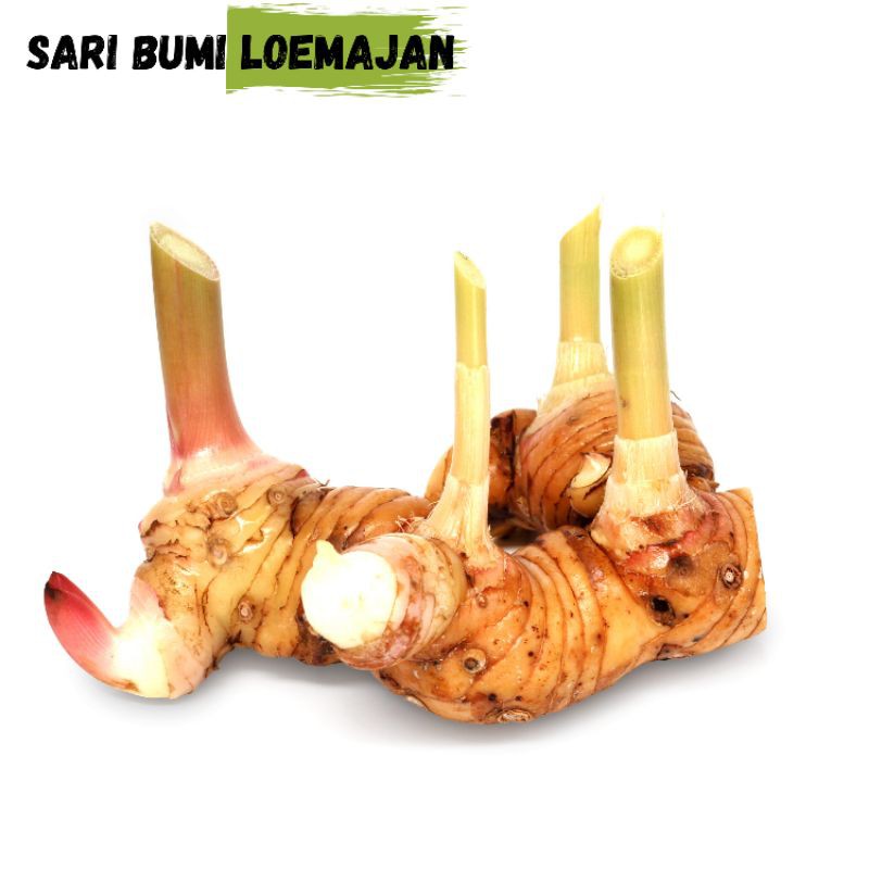 

sari bumi loemajan lengkuas 500 gram