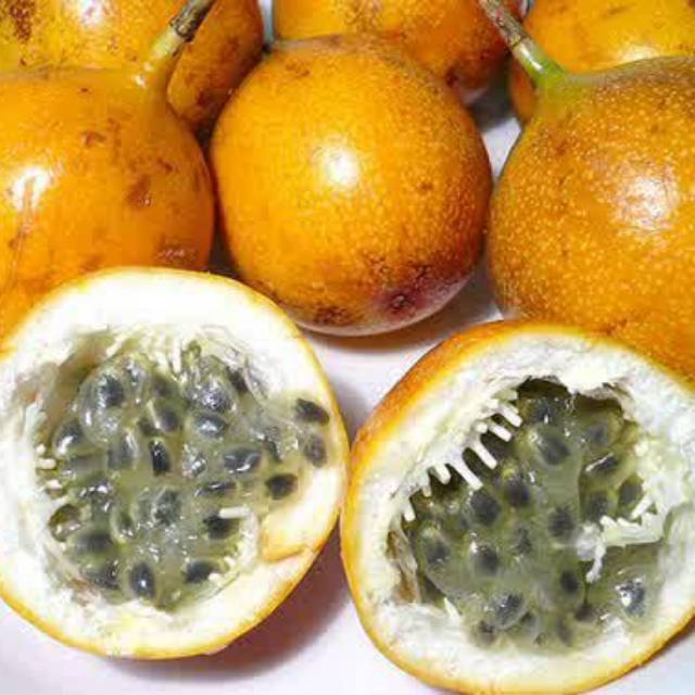 

Buah Markisa 500 gram
