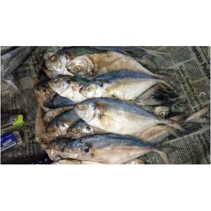 

Ikan Asin Selar Papan ( 250 Gr )