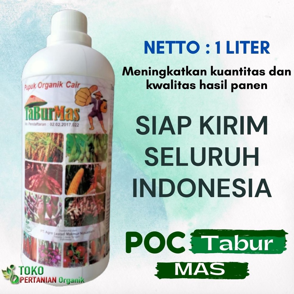 Pupuk cair untuk sayur Buncis serabut, POC TABUR MAS Nutrisi penyubur ph tanah buah Bengkuang, tanam