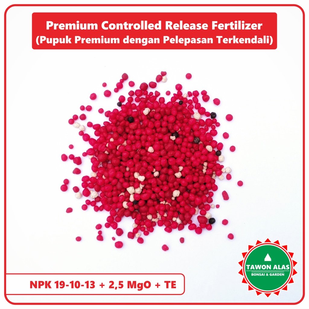 Pupuk Bonsai dan Aglonema Slow Release sejenis Osmocote Dekastar 500 gram