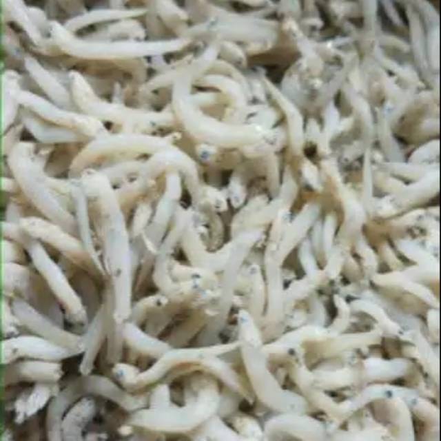 

Teri Medan / Teri Nasi