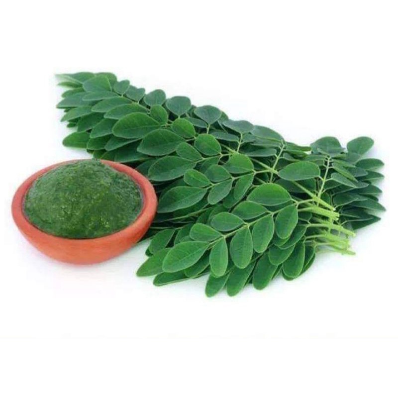 

Daun Kelor Fresh 250gram