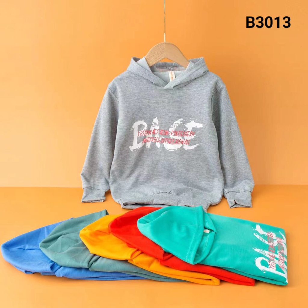 HOODIE ANAK IMPORT BASE B3013