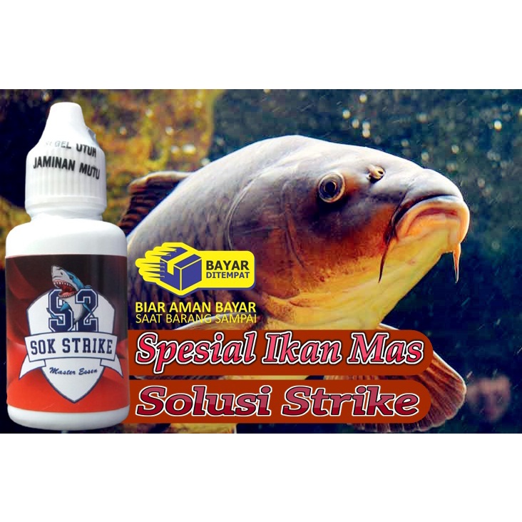 ESSEN IKAN MAS S2 OPLOSAN SOK STRIKE