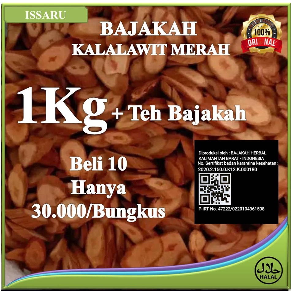 

Akar Kayu Bajakah Kalalawit Merah Premium Asli Kalimantan