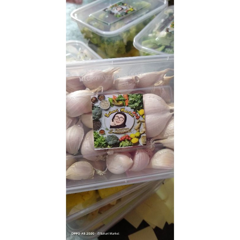 

bawang putih catting