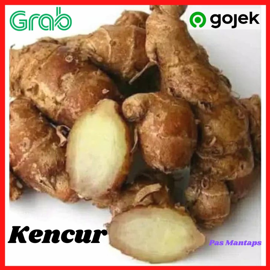 

Kencur 100 gram pasar Murah Bekasi
