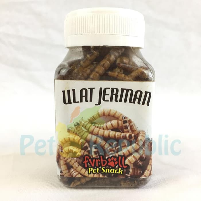 fvrball ulat jerman kering ( snack hewan)