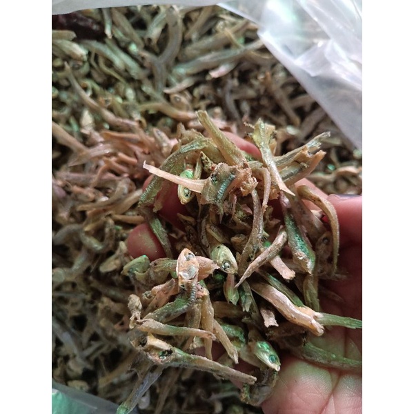 

Ikan Asin Mempawah/Ikan Asin Kalimantan 100gr-1000gr