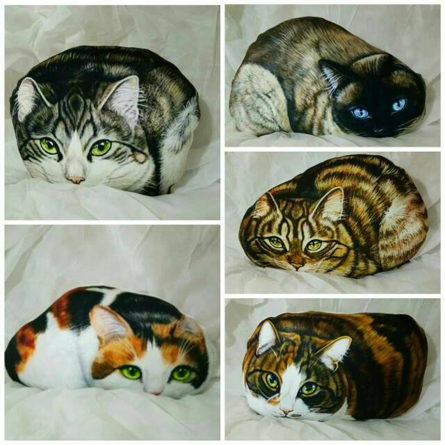 BANTAL KUCING