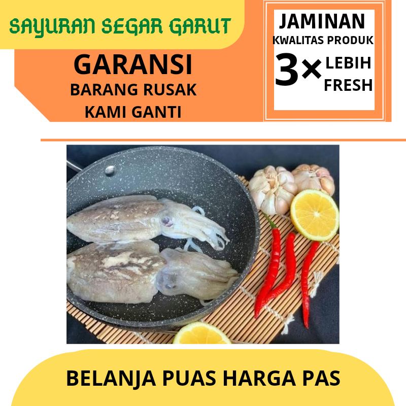 

Cumi Sotong Balakutak 500gr By Sayuran Segar Garut