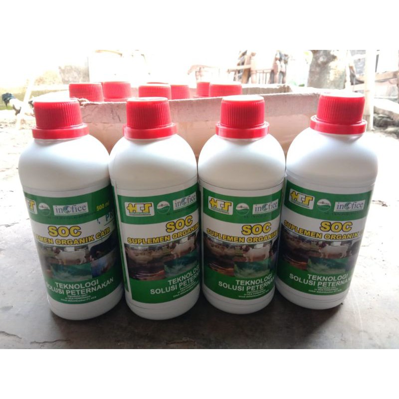 SOC HCS SUPLEMEN TERNAK