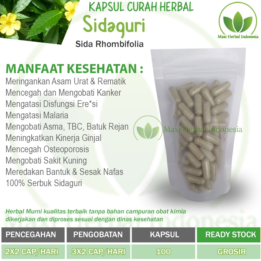 SIDAGURI 100 Kapsul Herbal Lemah Syahwat Eksim Asma Anti Radang Ginjal