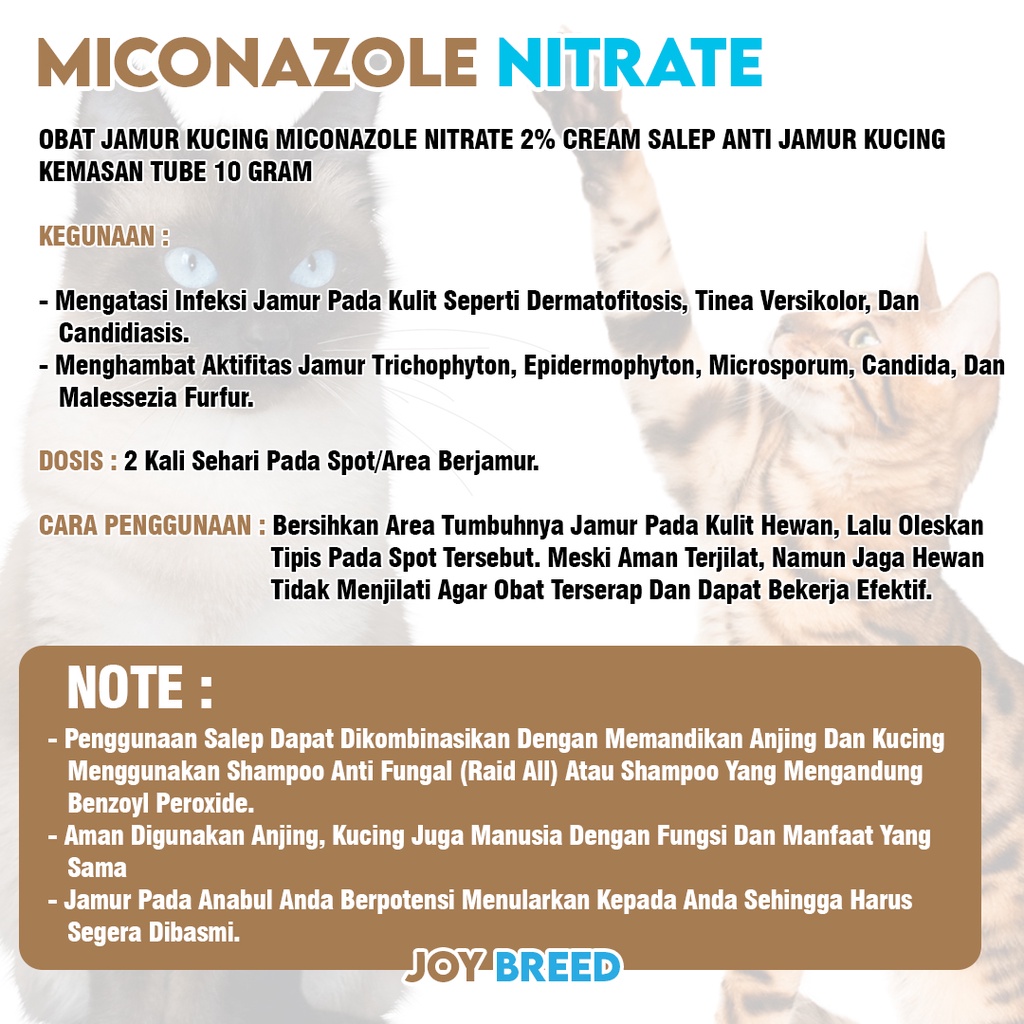 OBAT JAMUR KUCING MICONAZOLE NITRATE 2% CREAM SALEP ANTI JAMUR KUCING