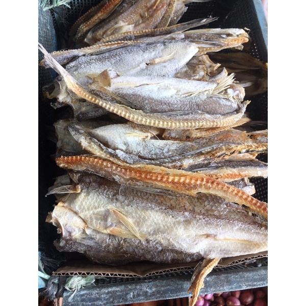 

Ikan Asin Kacang Ikan Asin Kacang 250gr