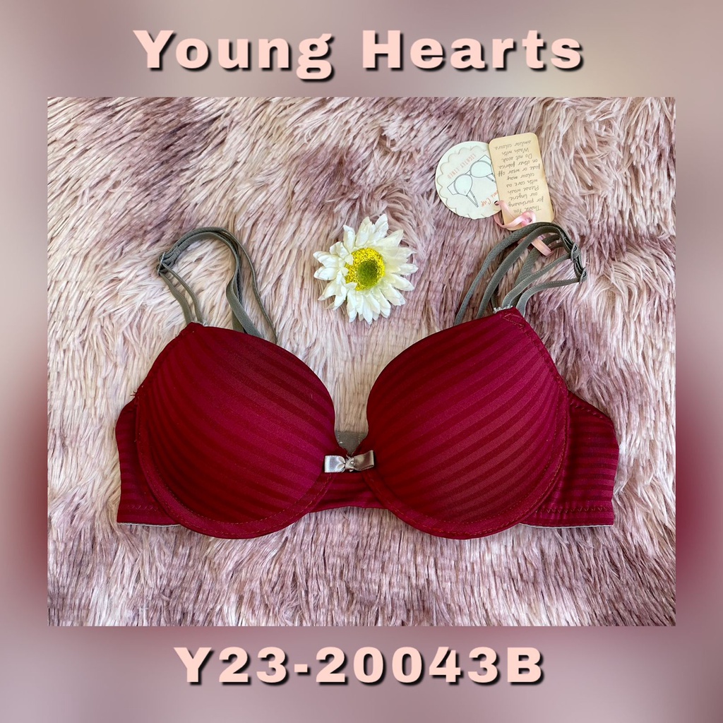 YOUNG HEARTS BRA SIZE 32B/B70 BERKAWAT BUSA TIPIS Y23-20043B