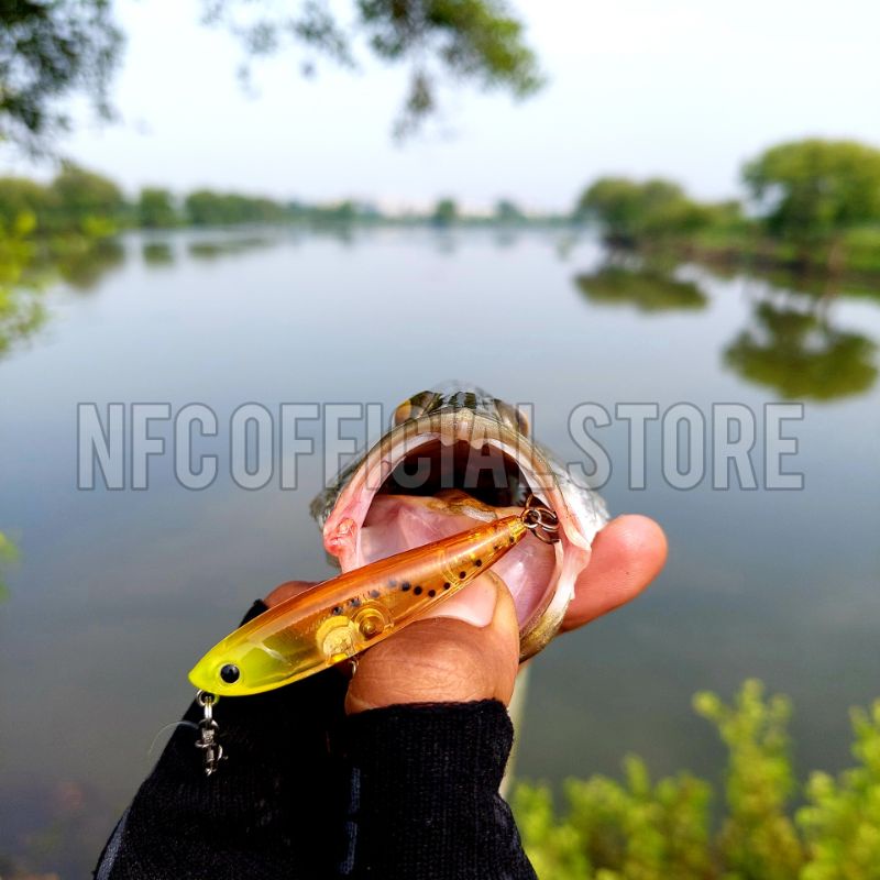 Lure Mini Pencil floating 6 cm 3,5 gram WTD Auto Geol BEST KILLER ACTION replika ZEREK