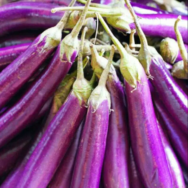 

Terong Ungu Fresh 500 Grm