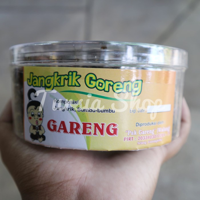 

TERLARIS Jangkrik Goreng Gurih