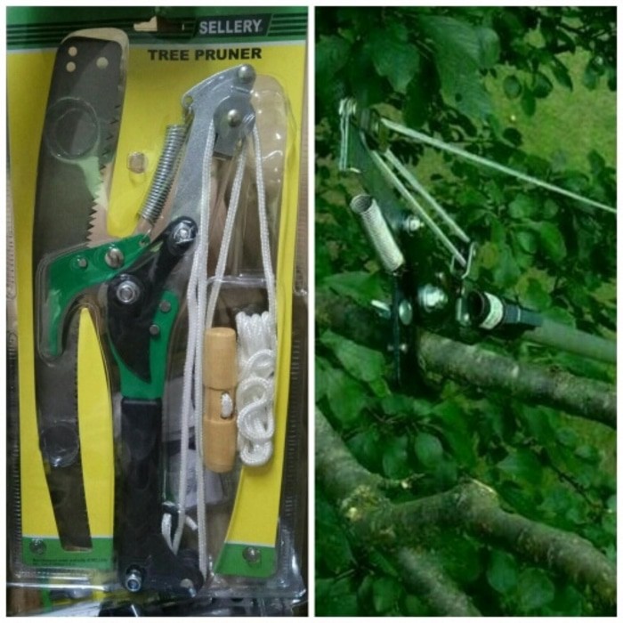 Jual Gergaji Dan Gunting Dahan Sellery Usa Gergaji Gunting Pruner Gunting Panen Rambutan 