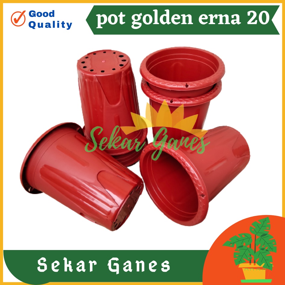 Pot Golden Erna 20 Merah Bata Coklat Terracota Terracotta Garden Of Love Mirip Pot Yogap 18 19 25 Murah  Putih Coklat Merah Bata Bening Transparan Pot Yogap 18 19 25 Pot Yogap Murah Pot Bunga Tinggi Pirus Tegak Bagus Tebal