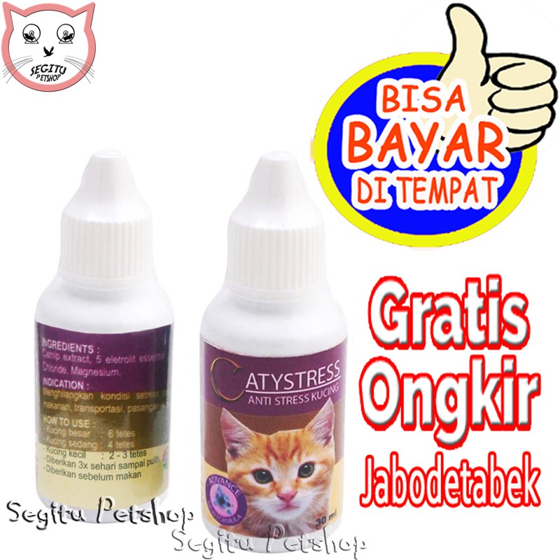 Obat kucing Antistress